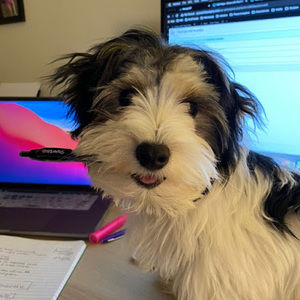 Meet your Posher, Lynn